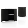 Furniture of America Elara Iron and Faux Marble 2-Piece End Table Set in Black
