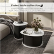 Furniture of America Elara Iron and Faux Marble 2-Piece End Table Set in Black