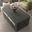 Furniture of America Selyra Wood Lift-Top Coffee Table in Gray