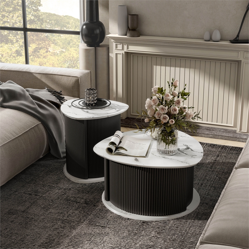 Furniture of America Elara Iron 2-Piece Coffee and End Table Set in Black