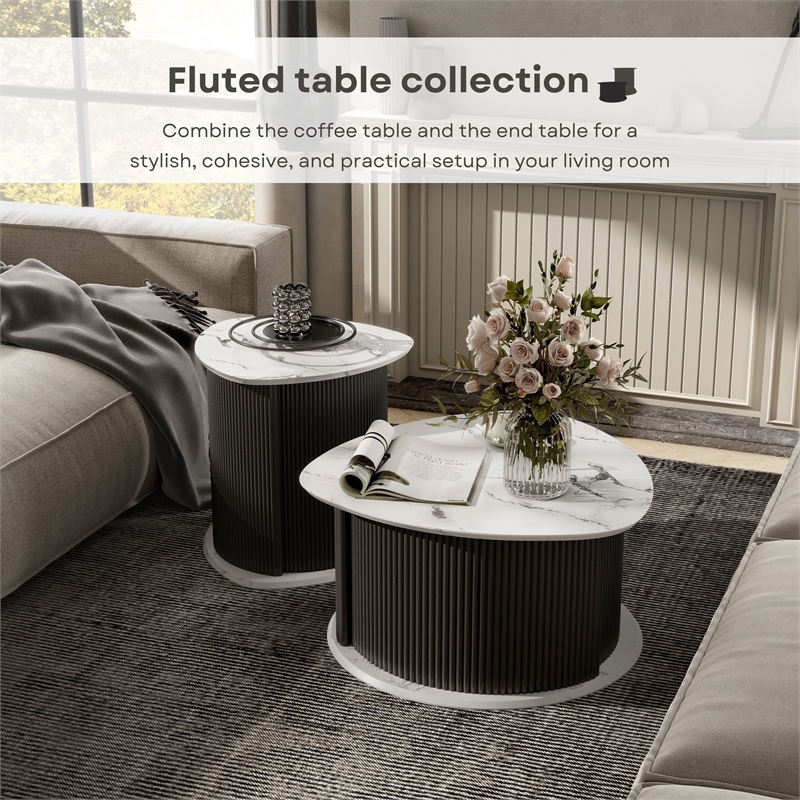 Furniture of America Elara Iron 2-Piece Coffee and End Table Set in Black