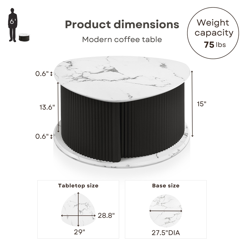 Furniture of America Elara Iron 2-Piece Coffee and End Table Set in Black