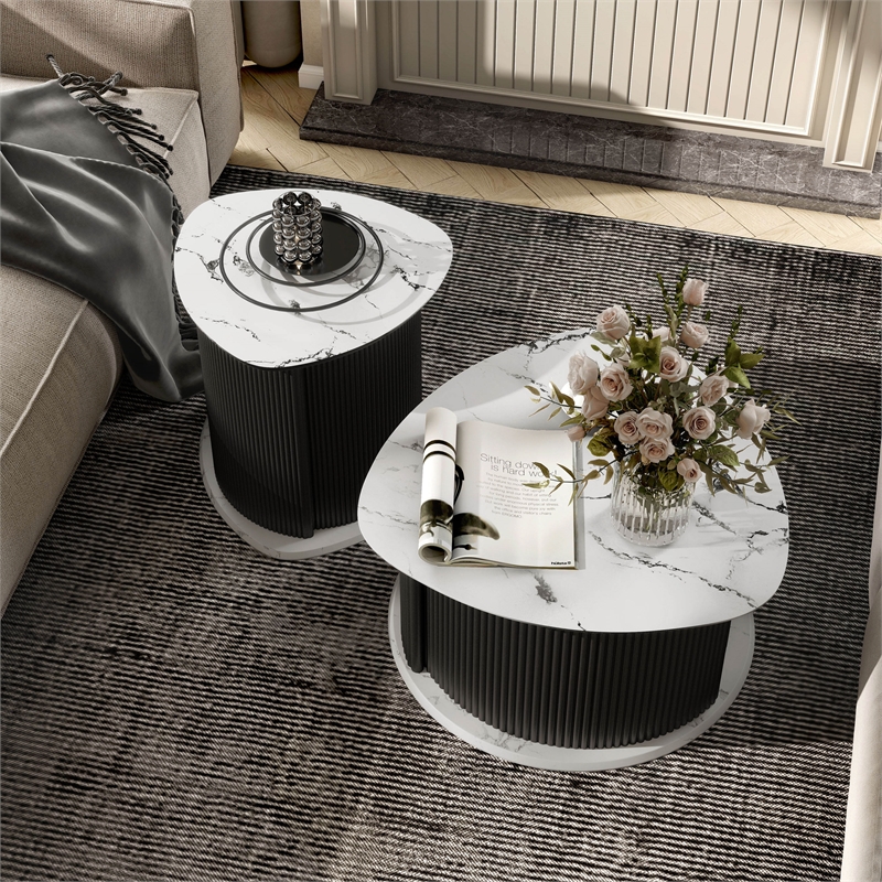 Furniture of America Elara Iron 2-Piece Coffee and End Table Set in Black