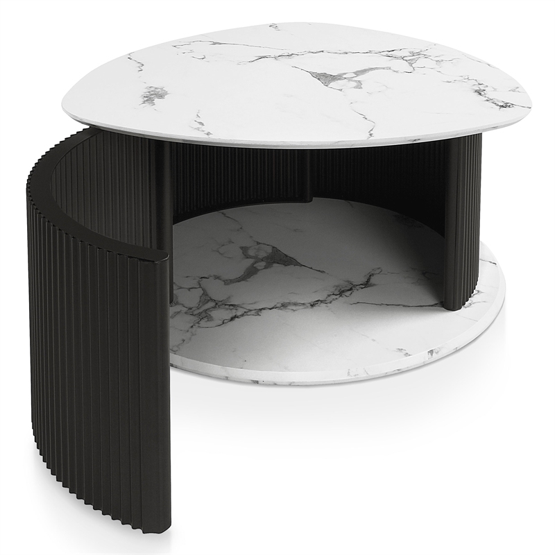 Furniture of America Elara Iron 2-Piece Coffee and End Table Set in Black