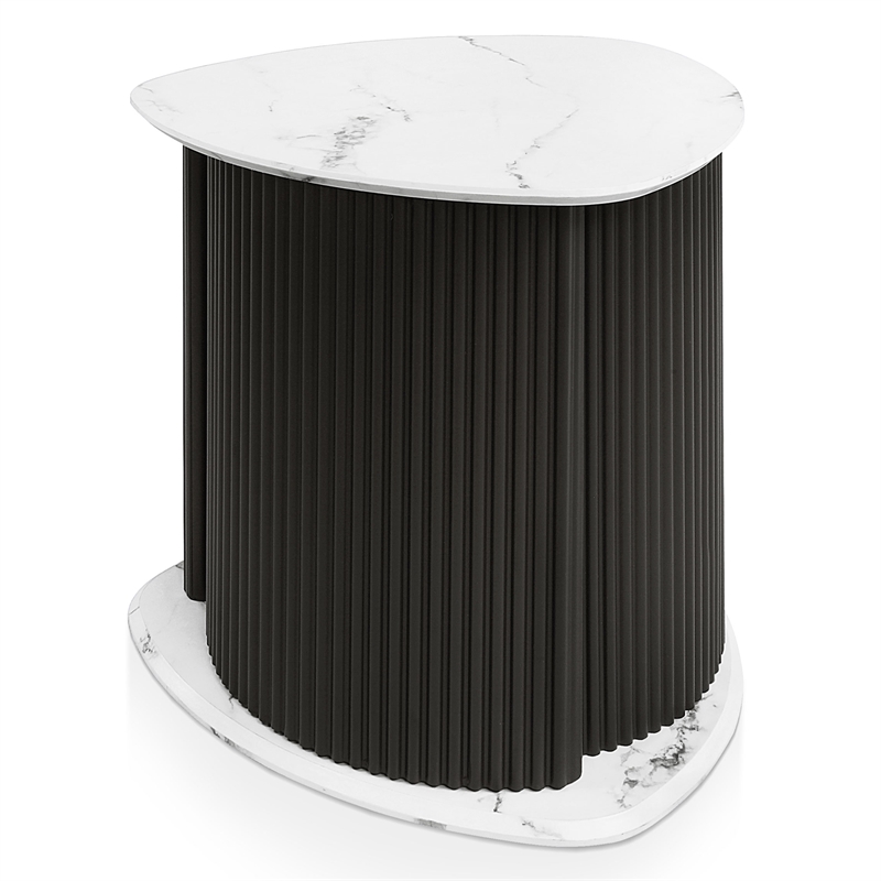 Furniture of America Elara Iron 2-Piece Coffee and End Table Set in Black