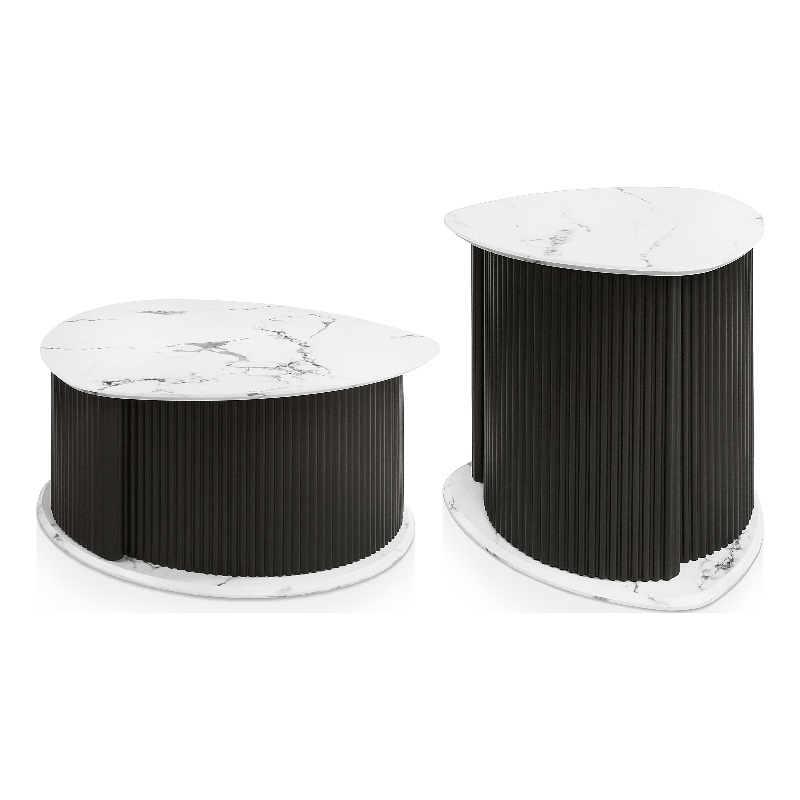 Furniture of America Elara Iron 2-Piece Coffee and End Table Set in Black