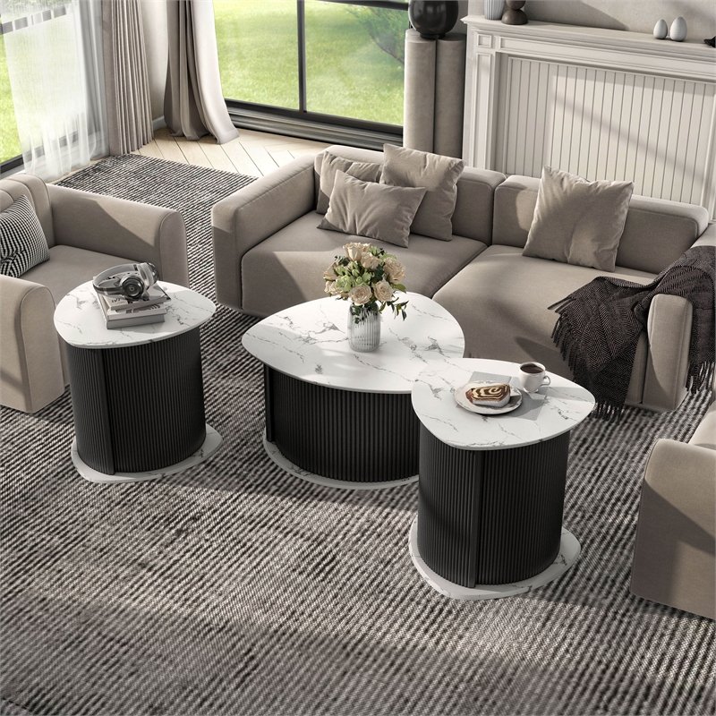 Furniture of America Elara Iron 3-Piece Coffee Table and End Table Set in Black