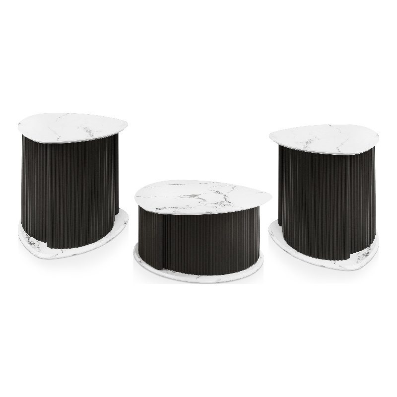 Furniture of America Elara Iron 3-Piece Coffee Table and End Table Set in Black