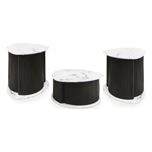 Furniture of America Elara Iron 3-Piece Coffee Table and End Table Set in Black