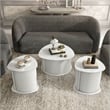 Furniture of America Elara Wood 3-Piece Coffee Table and End Table Set in White