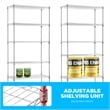 Furniture of America Rex Metal 5-Tier Wire Shelving Rack in Chrome