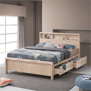 Furniture of America Staun Washed White Wood Storage Twin Bed with USB Ports