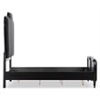 Furniture of America Seabliss Wood King 3-Piece Bedroom Set in Black