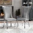 Furniture of America Balast Velvet Upholstered Side Chairs in Gray (Set of 2)