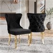 Furniture of America Balast Stainless Steel Side Chairs in Black (Set of 2)
