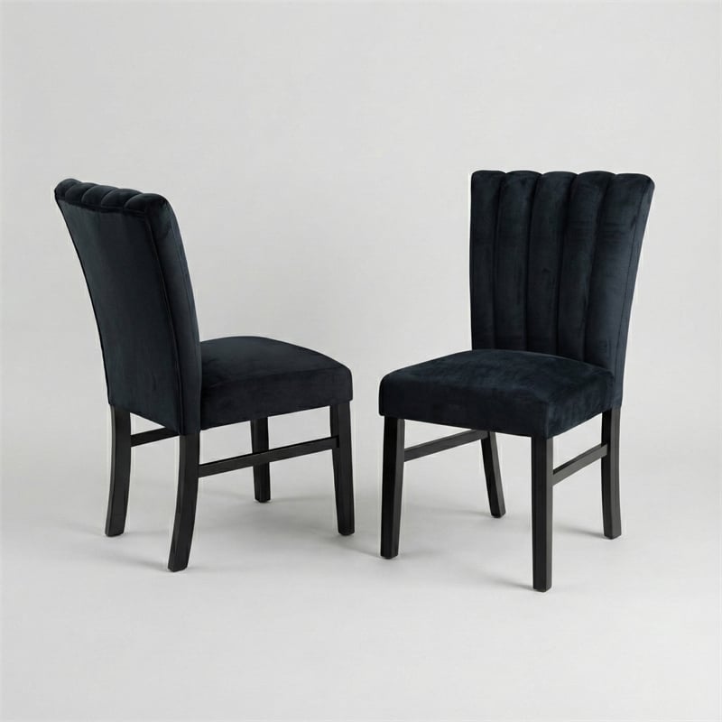 Furniture of America Quira Fabric Channel Tufted Side Chairs in Black (Set of 2)