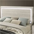 Furniture of America Pollan Solid Wood King Bed with LED Headboard in Gray