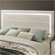 Furniture of America Pollan Solid Wood Queen Bed with LED Headboard in Gray
