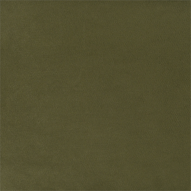 Furniture of America Lunaria Velvet 1-Drawer King Platform Bed in Green