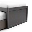 Furniture of America Balthazar Wood USB Ports Storage Twin Captain Bed in Gray
