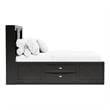 Furniture of America Darius Solid Wood Multi-Storage Queen Bed in Black