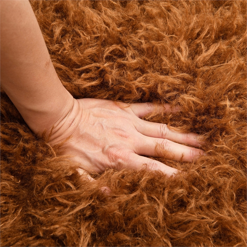 Furniture of America Ramos Faux Fur Fabric Long-Haired Accent Chair in Brown