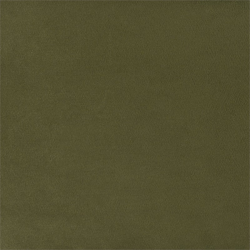 Furniture of America Lunaria Velvet 1-Drawer Queen Platform Bed in Green