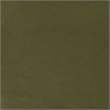 Furniture of America Lunaria Velvet 1-Drawer Queen Platform Bed in Green