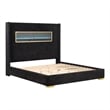 Furniture of America Calliope Wood 3D Fireplace Bluetooth USB Queen Bed in Black