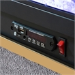 Furniture of America Calliope Wood 3D Fireplace Bluetooth USB Queen Bed in Gray