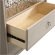 Furniture of America Glint Solid Wood Dovetail 5-Drawer Chest in Oak