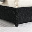 Furniture of America Suzanne Fabric Mattress Ready Full Platform Bed in Black
