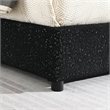 Furniture of America Suzanne Fabric Mattress Ready Queen Platform Bed in Black
