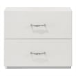 Furniture of America Quince Solid Wood 2-Drawer Nightstand in White
