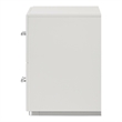Furniture of America Quince Solid Wood 2-Drawer Nightstand in White
