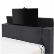 Furniture of America Jolyon Wood 3D Fireplace Bluetooth USB Queen Bed in Black