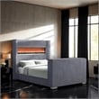 Furniture of America Jolyon Wood 3D Fireplace Bluetooth USB Queen Bed in Gray