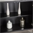 Furniture of America Meinter Wood Stainless Steel Door Panel Server in Black