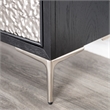 Furniture of America Meinter Wood Stainless Steel Door Panel Server in Black