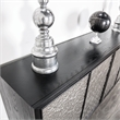 Furniture of America Meinter Wood Stainless Steel Door Panel Server in Black