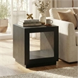 Furniture of America Mitta Solid Wood Storage Plinthe Base End Table in Black