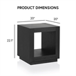 Furniture of America Mitta Solid Wood Storage Plinthe Base End Table in Black