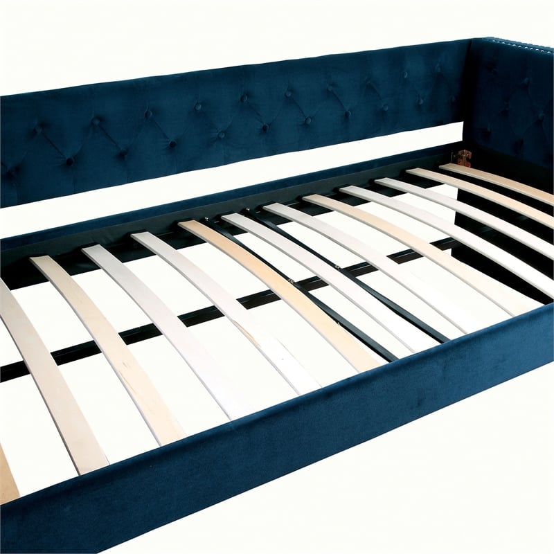 Furniture of America Elazar Wood Tufted Twin Daybed with Trundle in Navy