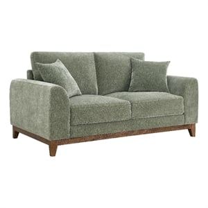 Furniture of America Naria Chenille Soft Track Arm Loveseat in Green