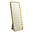 Furniture of America Auriol Metal Bluetooth LED Lights Standing Mirror in Gold