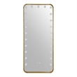 Furniture of America Auriol Metal Bluetooth LED Lights Standing Mirror in Gold