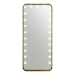 Furniture of America Auriol Metal Bluetooth LED Lights Standing Mirror in Gold