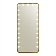 Furniture of America Auriol Metal Bluetooth LED Lights Standing Mirror in Gold