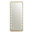 Furniture of America Auriol Metal Bluetooth LED Lights Standing Mirror in Gold