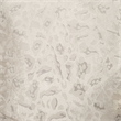 Furniture of America Ranera Fabric Flare Channeled Arms Loveseat in Beige
